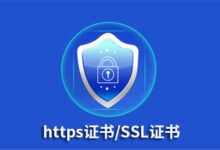 2025最新HTTPS证书申请流程及使用方法-专业云服务器测评网